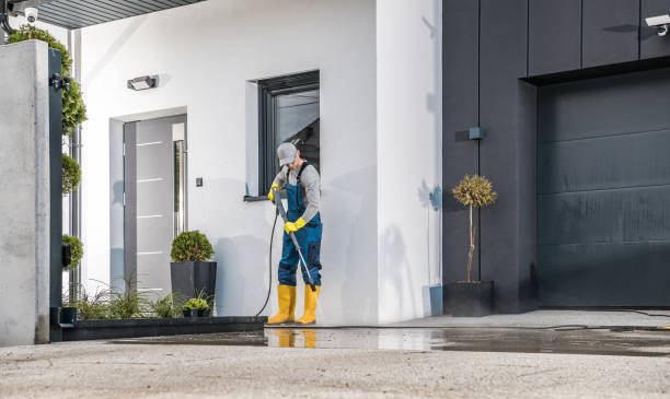 Best Gutter Cleaning  in Springville, NY